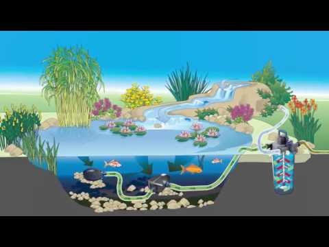 Watch Video on YouTube