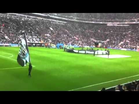 Newcastle amazing atmosphere v sunderland (1-1)