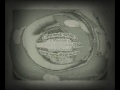 Copy Of My Edited Video