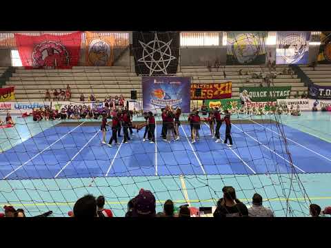 PANTERCATS - Engenharíadas Paranaense 2019