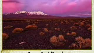 محاورة ابن مطيع لمحمد ابن الحنفية- فضيلة الشيخ خالد اسماعيل image