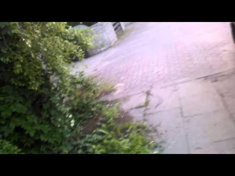 PWUNSBK - Odwiedzajcie Królewski Festiwal Artystyczny w Gnieźnie