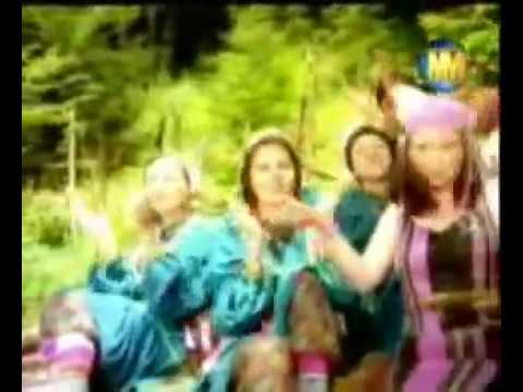 Hülya Polat - Koçari