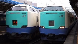 preview picture of video '【FHD】JR信越本線・北陸本線 直江津駅にて(At Naoetsu Station on the JR Shin-etsu Main Line and Hokuriku Main Line)'