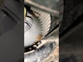 how to clean 🪥 car AC fan and blower fan #shorts #shots #youtubeshorts