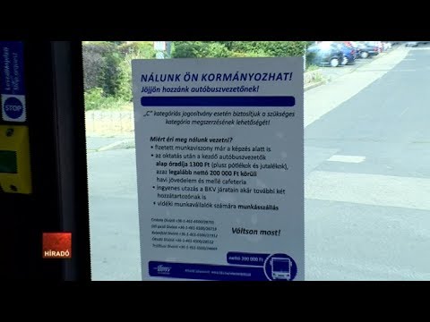 Kevés a buszsofőr