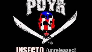 Puya - Insecto (unreleased)