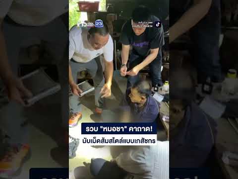 รวบ \หมอชา\ คาถาด นับเม็ดส้มสไตล์ เภสัชกร