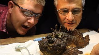 Milking the WORLD&#39;S MOST VENOMOUS FISH! - Smarter Every Day 117