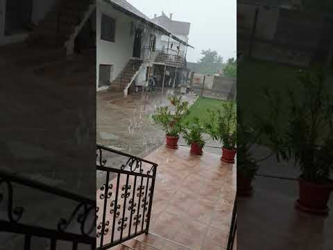 Shi me vetim breshën