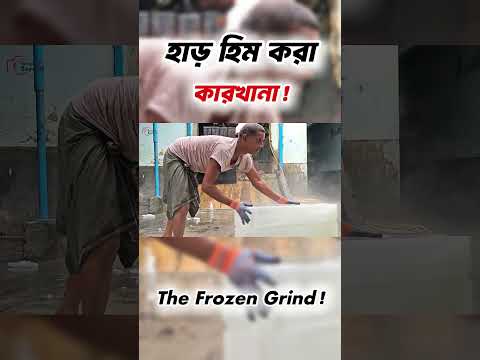 হাড় হিম করা কারখানা! | The Frozen Grind