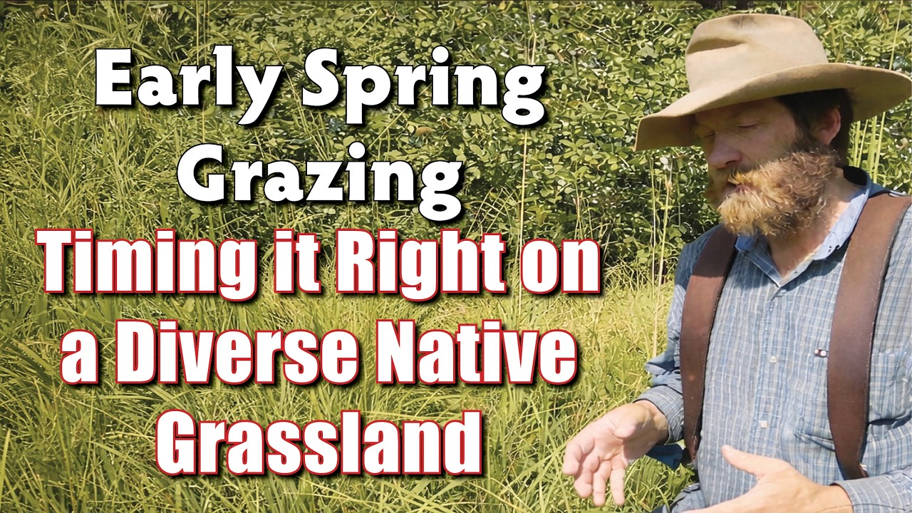 Early Spring Grazing | Timing it Right on a Diverse Native Grassland