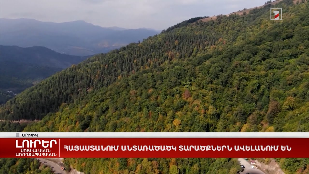 Հայաստանում անտառածածկ տարածքներն ավելանում են