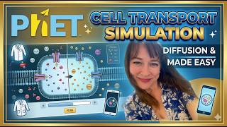 How to Master Cell Transport: PhET Simulation Walkthrough
