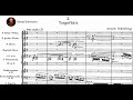 Arnold Schoenberg - 5 Orchestral Pieces Op. 16 (1909)