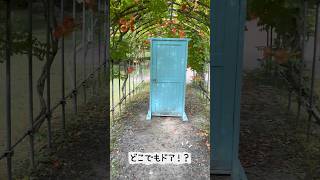 #七北田公園 #公園 #キートス広場 #夏 #雑夏休み #ムーミン #ピカチュウ #カフェ #子供 #仙台