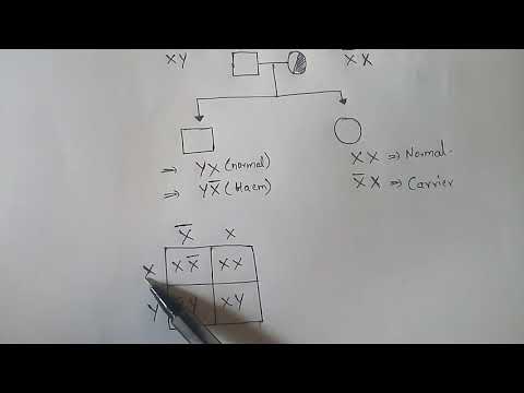POINT MUTATION BY PHANINDRA GUPTHA