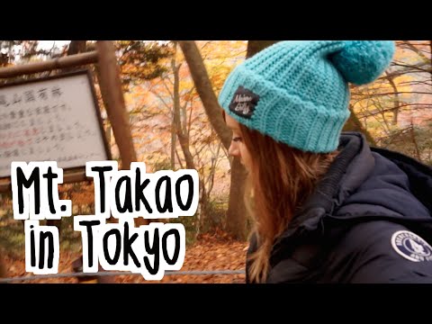 東京高尾山の紅葉的驚人秋景 (Amazing Autumn View at Mt. Takao in Tokyo 高尾山の紅葉)