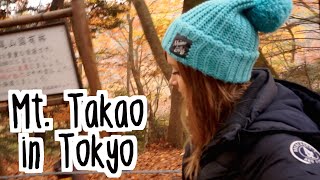 Amazing Autumn View at Mt. Takao in Tokyo 高尾山の紅葉