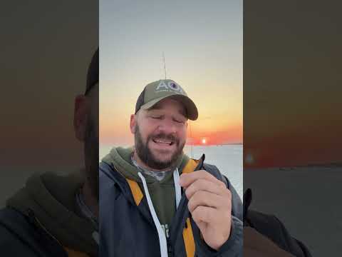 If This Doesn’t Amp You Up… I Don’t Know What Will 🤯🤯🤯 #shortsfeed #shortsvideo #congress #atf Thumbnail