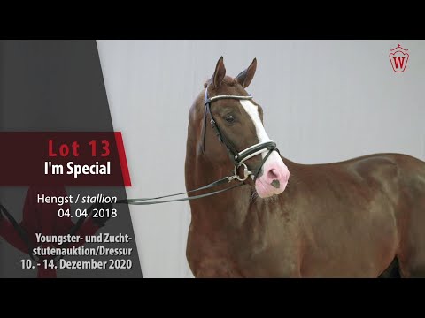 Youngster- und Zuchtstutenauktion/Dressur Lot 13 I`m Special Hengst v. Asgard's Ibiza - Benicio
