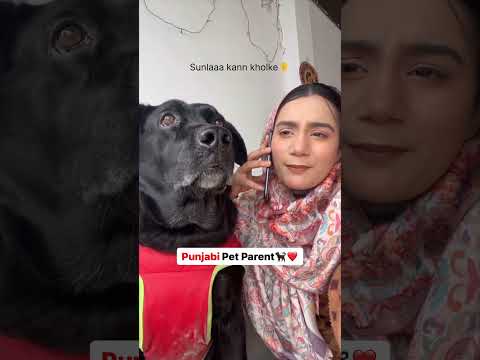 Punjabi Pet Parent