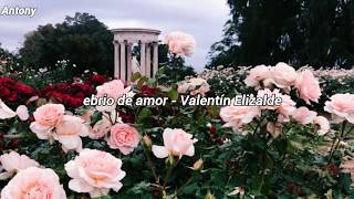 Valentín Elizalde - Ebrio de amor |Letra|