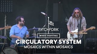 Circulatory System performs "Mosaics Within Mosaics" - Pitchfork Music Festival 2014
