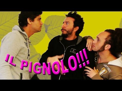 Il pignolo