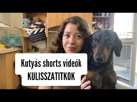 KULISSZATITKOK-így készülnek a kutyás shorts videók 🎬 #merlinkalandok