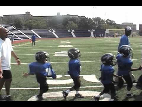 Ward 5 Warriors 2010 Season preview