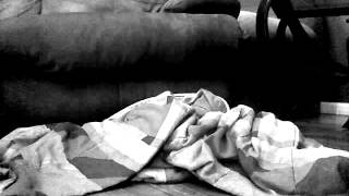 Obvious Heart (cover)