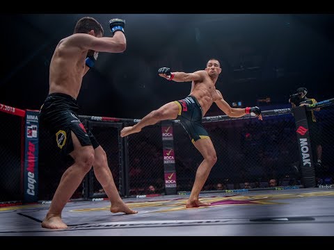 Ronald Paradeiser vs Vladislav Genov full fight