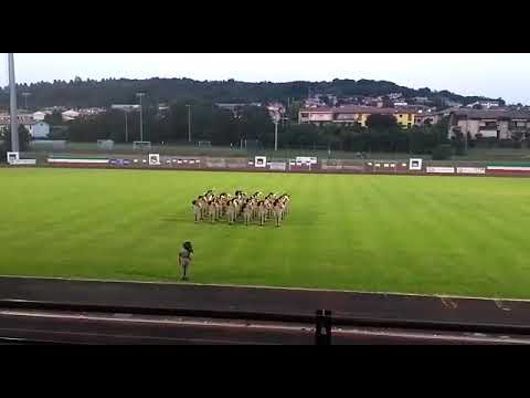 Mix Marcia d'ordinanza, variata, fiamme cremisi. Fanfara Bersaglieri Cremona