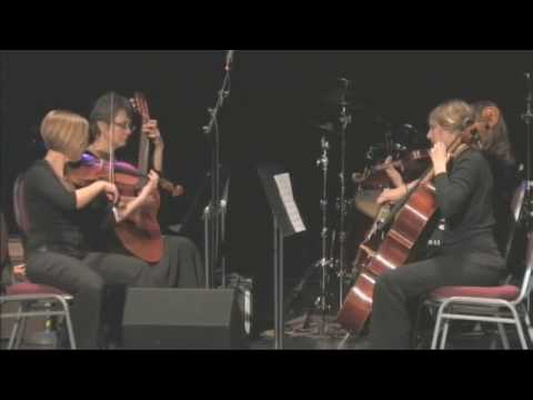 Sapphire String Quartet at the Music for Haiti Benefit - Janesville WI
