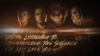 Dismantling The Silence - I'm Not Like You - Lyric Video