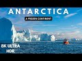 Antarctica The Icy Continent Majestic Icebergs Penguins Antarctica Documentary Antarctica 8k