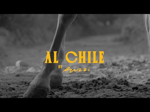 Ruzzi - Al Chile (Video Oficial)
