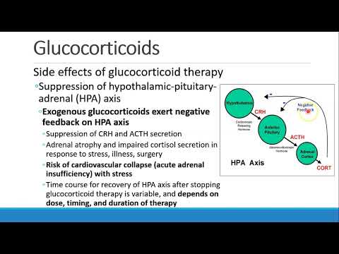 Pharmacology for Anesthesia 16 Endocrine Part 1