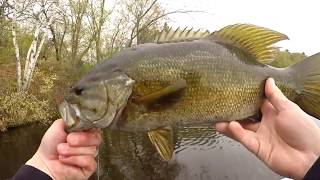 BIG SMALLMOUTH BASS - MINNESOTA