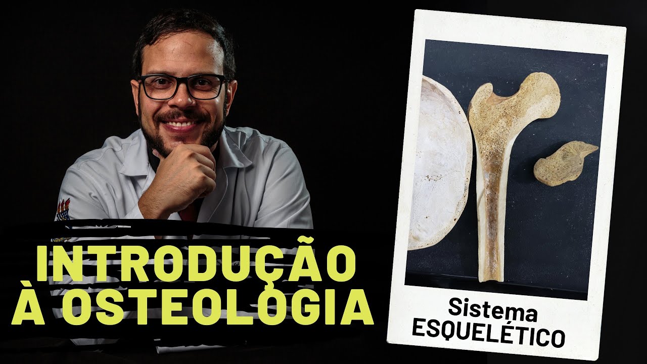 SISTEMA ESQUELÉTICO: INTRODUÇÃO À OSTEOLOGIA - AULA PRÁTICA COM PROF. ANDRÉ OLIVEIRA