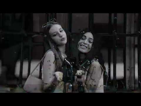 Amnistia - Init Nothing Box