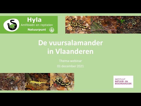 , title : 'Hyla webinar - De Vuursalamander in Vlaanderen - 01/12/2021'