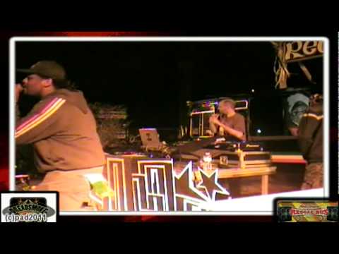 VIBRONICS ft madu & echo ranks (uk) - dub 2  roots & culture \ steppa vibes pt5 @ reggaebus 24-9-11