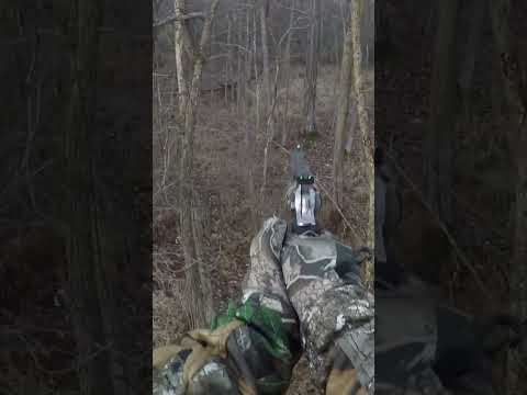 WI 2023 Gun opener .357 mag  GP100 using Winchester big bore 158gr