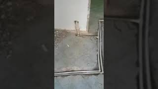 Serttaş su tesisat