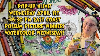 Pop-Up #Live Who won the Possum Picture?  And Watercolor Wednesday!
