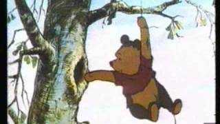 The Many Adventures of Winnie the Pooh (1977) Video