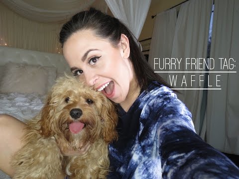 Furry Friend Tag: Waffle | MeganandLiz