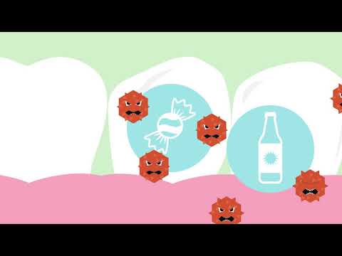 Bacteria in Your Mouth